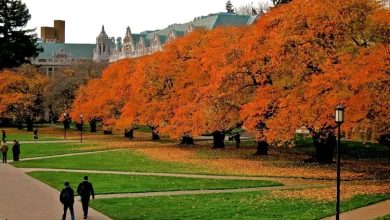 10 Most Beautiful Universities
