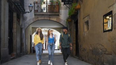 Study Medicine in Germany