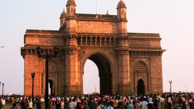 Overseas Citizen of India