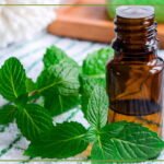 Mentha Oil