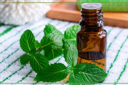 Mentha Oil