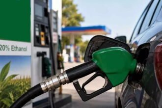 e20 Fuel