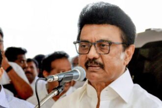 DMK