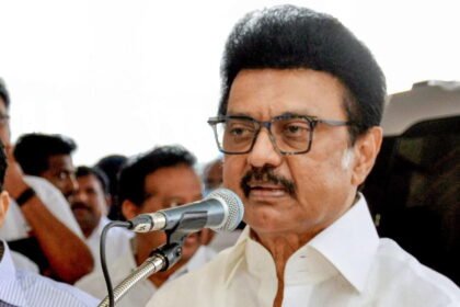 DMK
