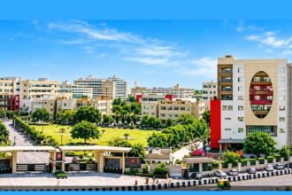 Chitkara University